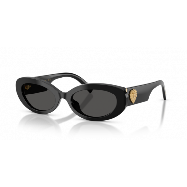 Gafas de Sol Dolce Gabbana DG4537 501/87 53 19