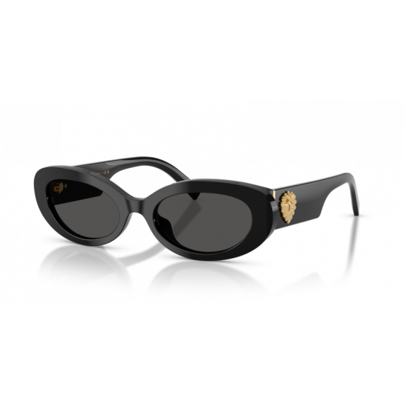 Gafas de Sol Dolce Gabbana DG4537 501/87 53 19