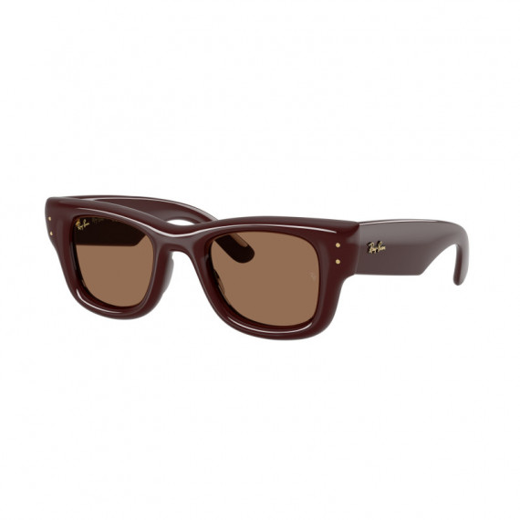 Gafas de Sol Ray-Ban WAYFARER PUFFER RB4940 687773 - 50/23