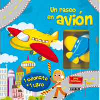 un Paseo en Avión