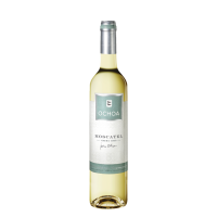 Ochoa Moscatel Vendimia Tardía 2024 - 50CL  BODEGAS OCHOA