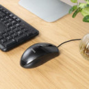 Ratón TOOQ Ambidextro óptico Usb-a 1000DPI Cable 1.3M Negro (TQM-1001-B)