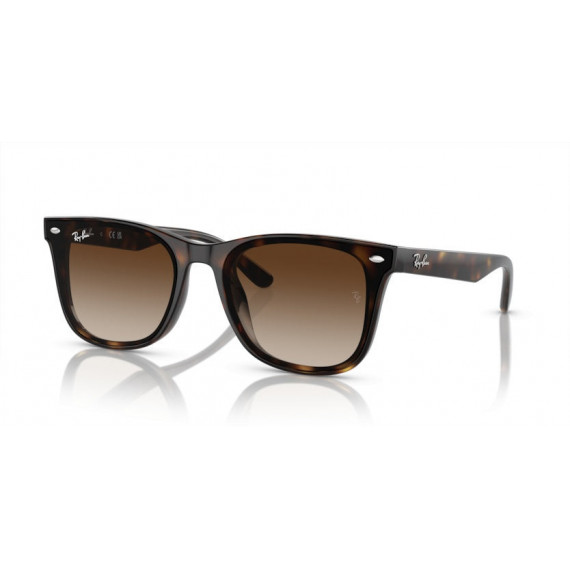 Gafas de Sol RAY-BAN RB4420 710/13 65 18