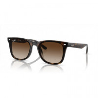 Gafas de Sol RAY-BAN RB4420 710/13 65 18