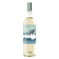 Arindo 2025 - 75CL  BODEGAS GIL FAMILY