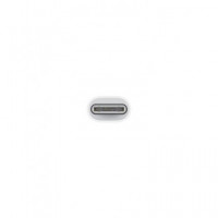 Apple Adaptador USB C a Lightning MUQX3ZM/A  APPLE