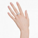 Anillo Dextera