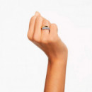 Anillo Dextera