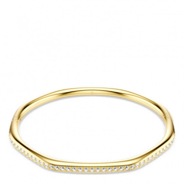 Brazalete Dextera
