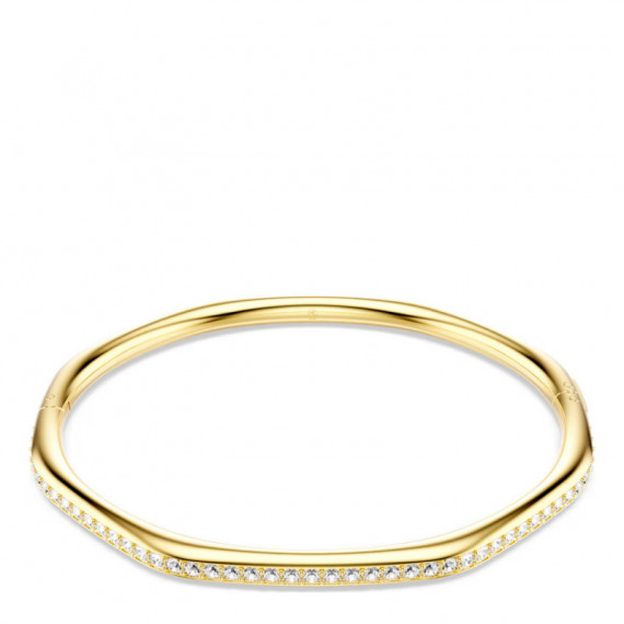 Brazalete Dextera