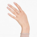 Anillo Matrix