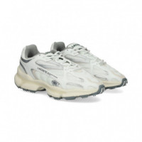 Deportivo Malla Plata+blanco  LACOSTE