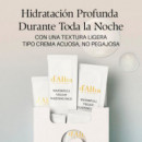 White Truffle Waterfull Vegan Sleeping Pack Mask
 Mascarilla Nocturna Hidratante  D'ALBA