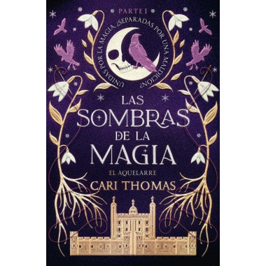 LAS SOMBRAS DE LA MAGIA