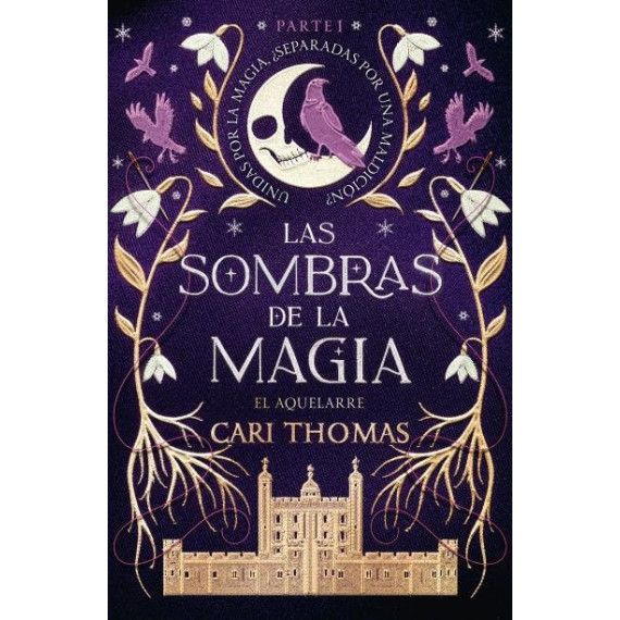 LAS SOMBRAS DE LA MAGIA