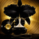 Orchidée Impériale Black
Crema De Día Reafirmante Y Regenerante