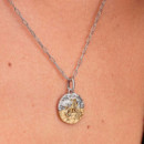 Charm Medallón Zodiaco Capricornio 764987C01