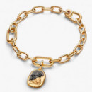 Charm Medallón Búho 764805C01