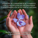 Orchidée Impériale
El Concentrado de Longevidad
