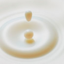 Oat PDRN Gentle Refining Toner
Tónico Refinador De Avena Para Pieles Con Tendencia Al Acné
