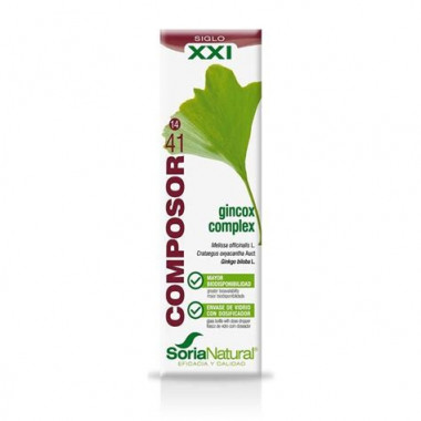 COMPOSOR 41 - GINCOX COMPLEX  XXI