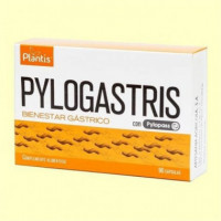PYLOGASTRIS 90 CAPSULAS PLANTIS