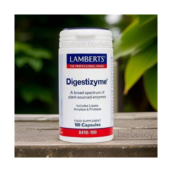 DIGESTIZYME 100 CAPSULAS LAMBERTS
