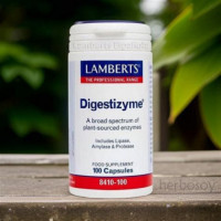 DIGESTIZYME 100 CAPSULAS LAMBERTS