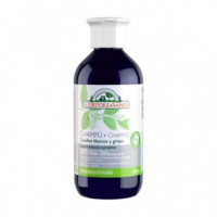 CHAMPU HENNA GRISES BLANCOS CORPORE SANO