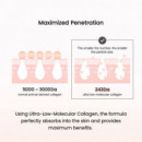 Pore Perfecting Collagen Peptide Cream
Crema Facial Nutritiva - Corrección Poros