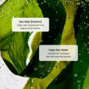 Refreshing Sea Kelp Serum
Sérum Facial para Control de Brillos y Sebo