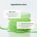 Sea Kelp Gel Toner Pads
Discos Tónicos Calmantes y Control de Sebo