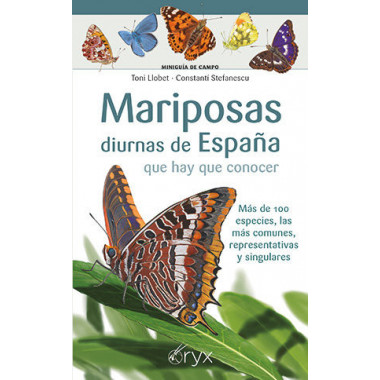 MARIPOSAS DIURNAS DE ESPA&Ntilde;A QUE HAY QUE CONOCER