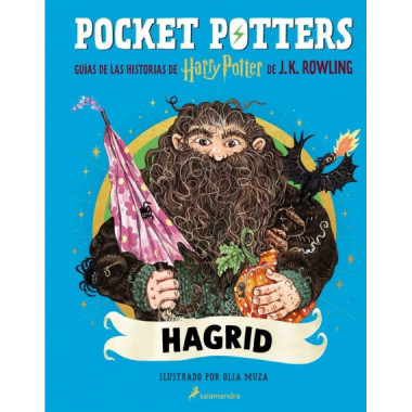POCKET POTTERS 6 HAGRID