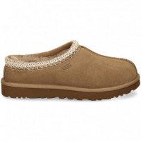 Zueco ante Marron  UGG