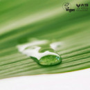 Black Bamboo Mist
Bruma Facial Hidratante