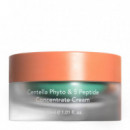 Phyto & 5 Peptide Concentrate Cream
Crema Facial Concentrada Acción Antiedad