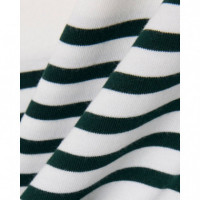 Camiseta Colorblock y Rayas Farine/sinop  LACOSTE