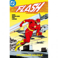 The flash la colección completa 1