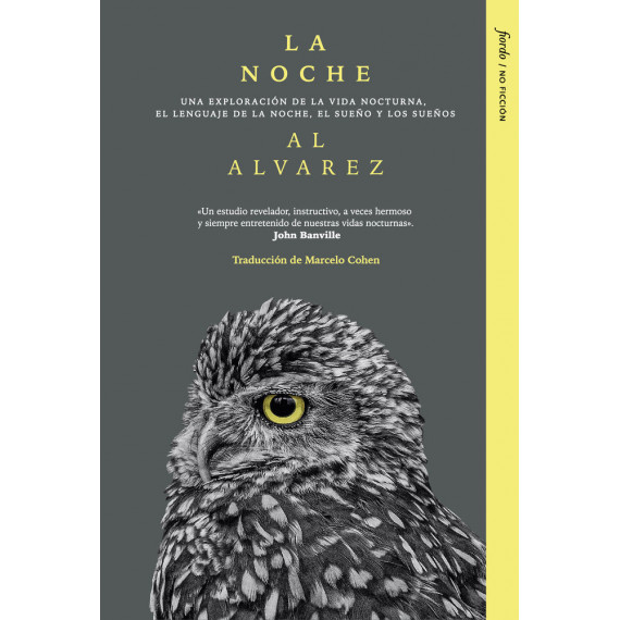 LA NOCHE