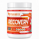 RECOVERY TOTAL Dynamix - 700gr
