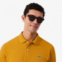POLOS HONEY