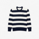 Jersey Marine/farine  LACOSTE