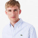 CAMISA OXFORD PANORAMA/BLANC