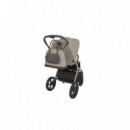 Pack Goya Platinum Champagne