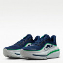 Zapatilla Winflo 12  NIKE