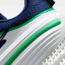 Zapatilla Winflo 12  NIKE