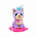 Adoptanimals Centro de Cuidados  BIZAK