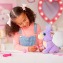 Adoptanimals Centro de Cuidados  BIZAK