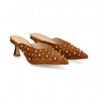 Mule de Tacon ante Tachas Camel  ALMA EN PENA